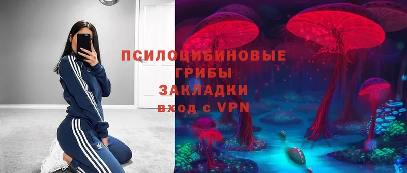 Псилоцибиновые грибы Psilocybe  Ворсма 