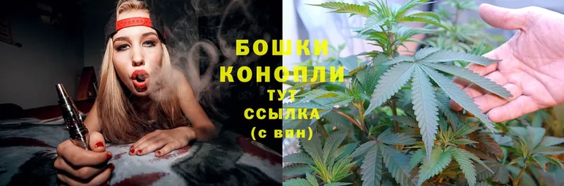 где найти   Ворсма  Марихуана Ganja 